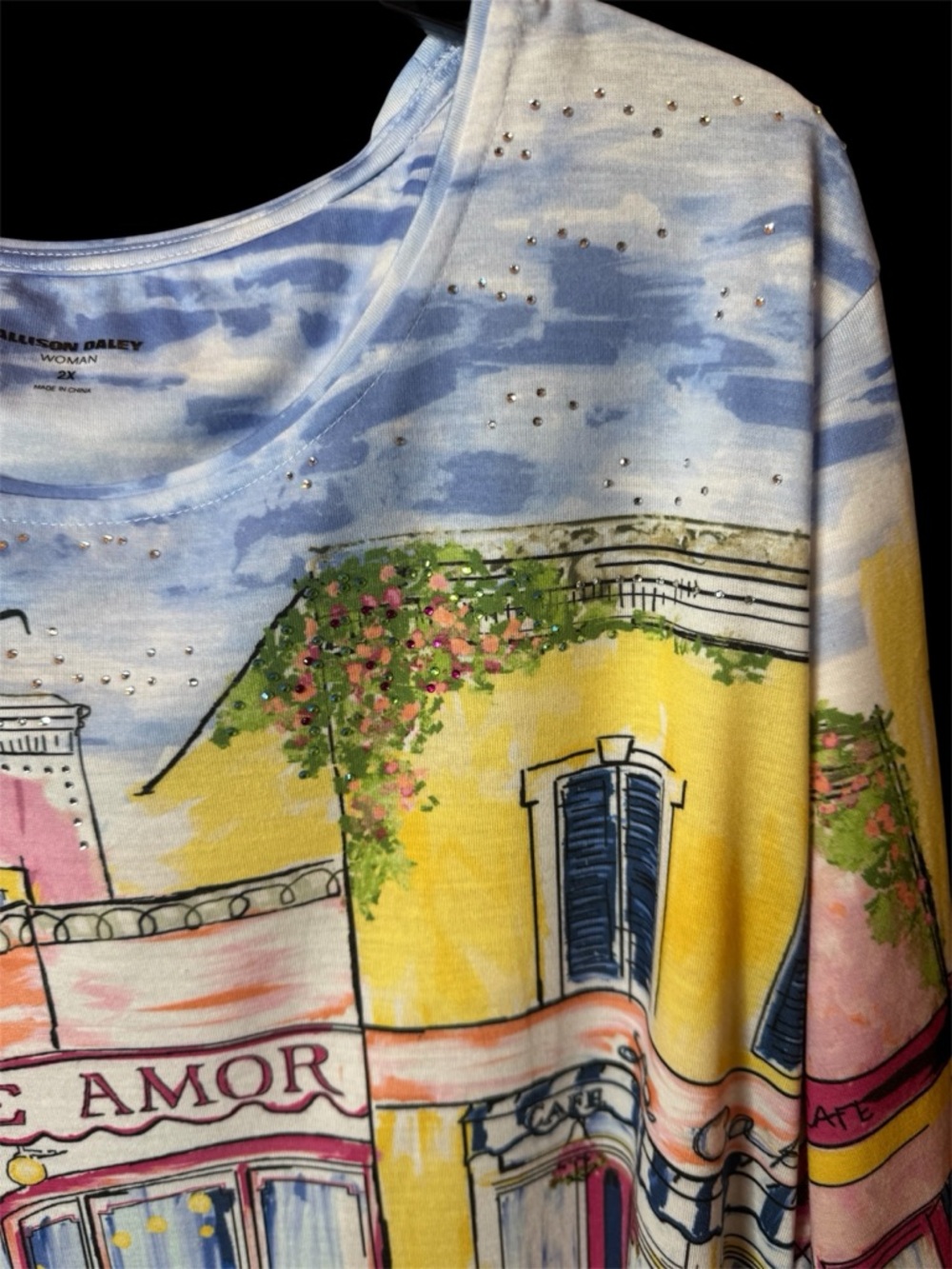 NEW Allison Daley Woman 2X Tunic Scenic Blue Cafe Amor Rhinestone Plus Bling - Picture 4 of 9